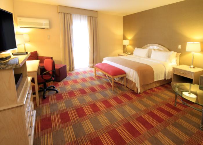 Holiday Inn Monclova by IHG