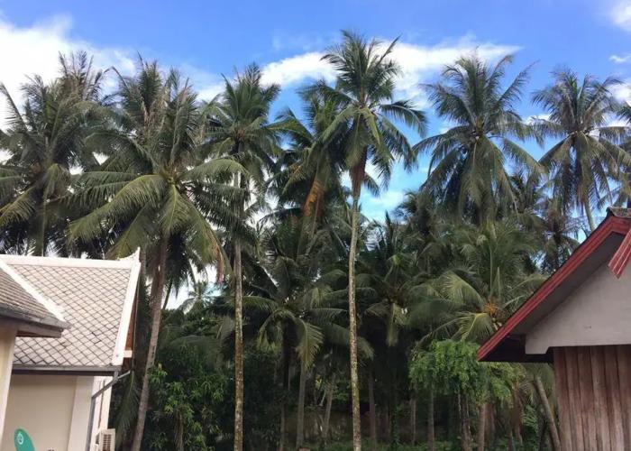 Soutikone Place House 2