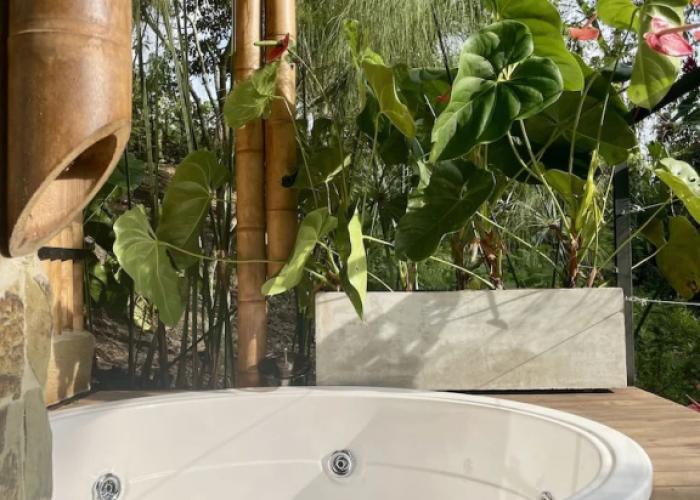 EcoHotel Alma