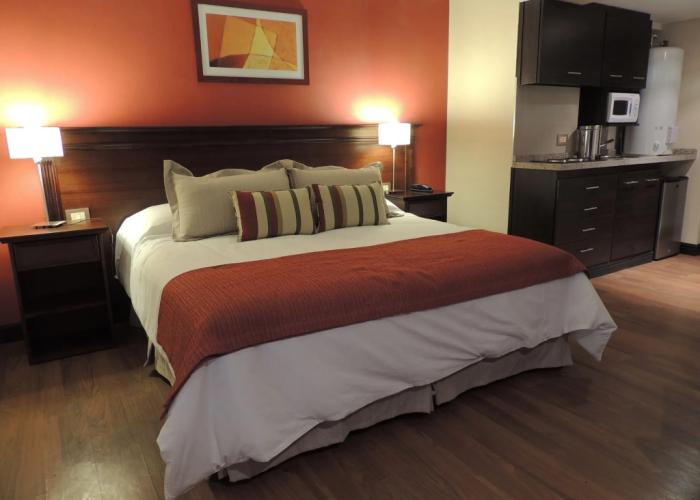 Premium Tower Suites San Luis