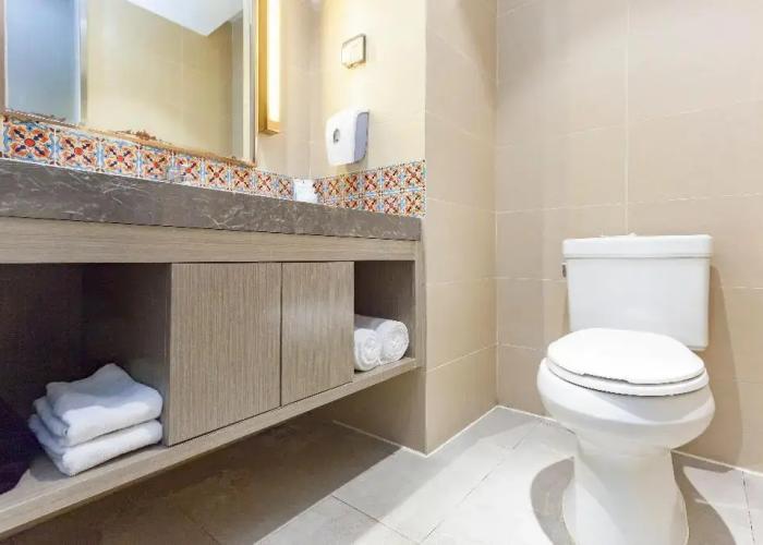 Holiday Inn Express Lhasa Potala Palace by IHG