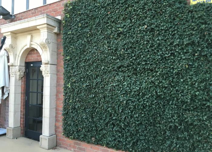 Albury Manor House
