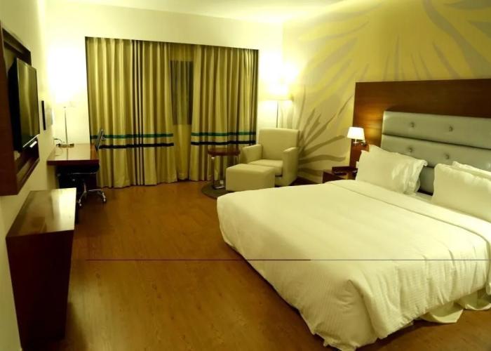 Hotel Abu Palace - Chennai