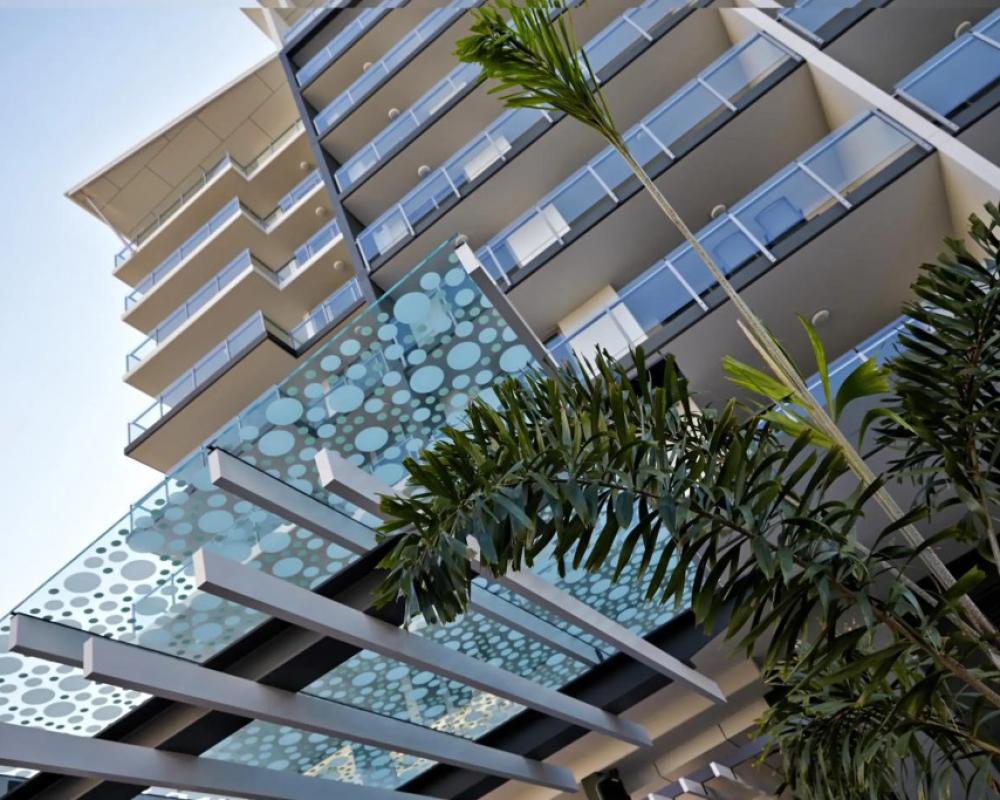 Verve on Cotton Tree