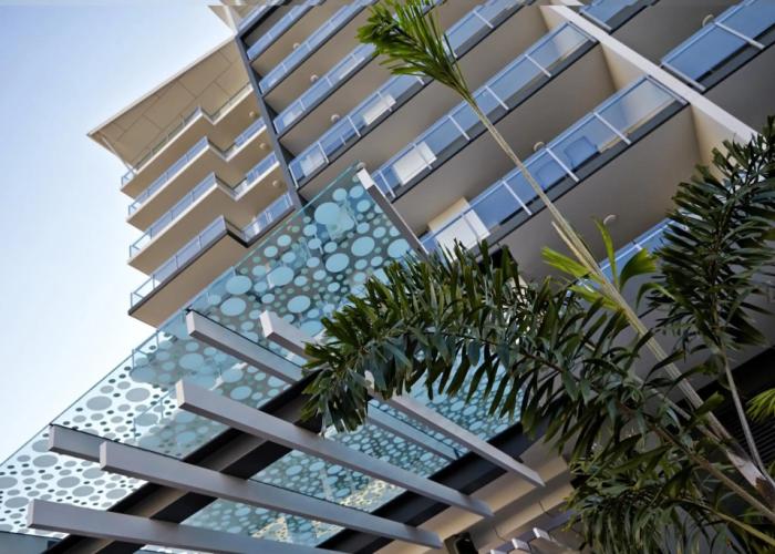 Verve on Cotton Tree