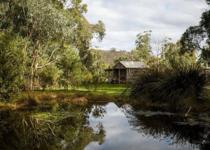 The Burrow At Wombat Bend