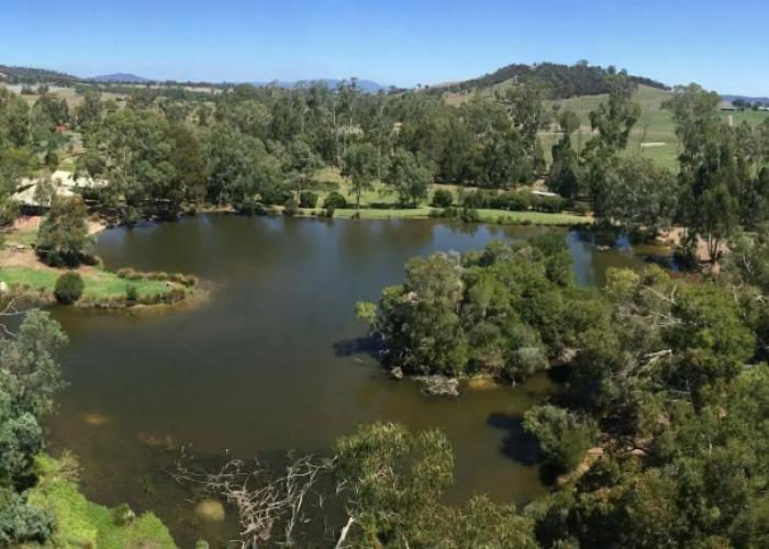 The Burrow At Wombat Bend