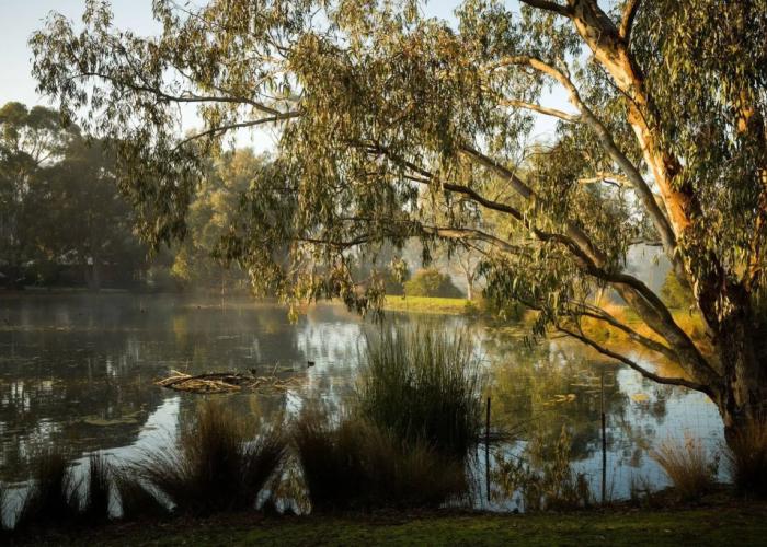 The Burrow At Wombat Bend