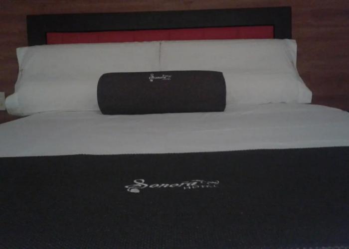 Hotel Sonora