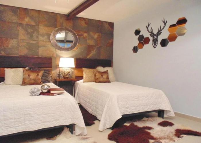 Coyotito Beds Coyoacán
