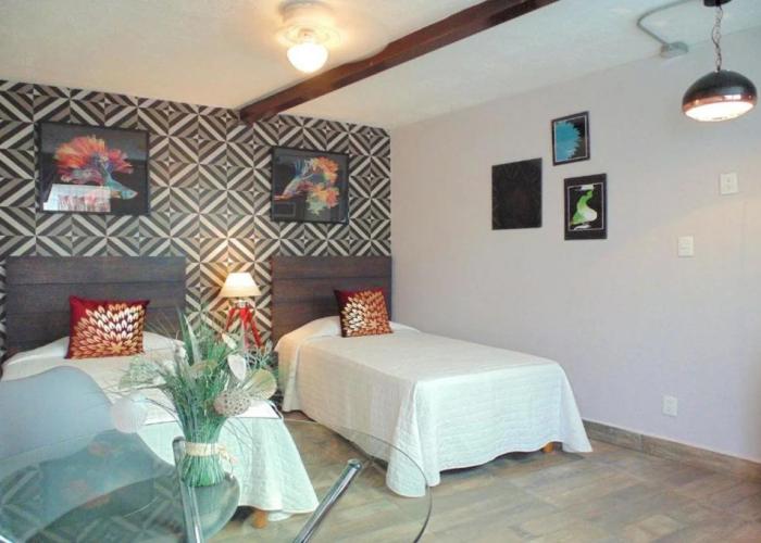 Coyotito Beds Coyoacán