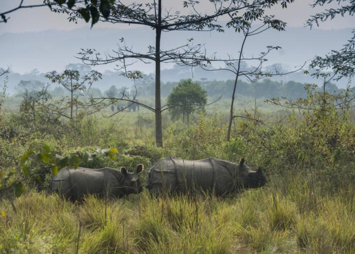 Sarang Wildlife Sanctuary Hotel