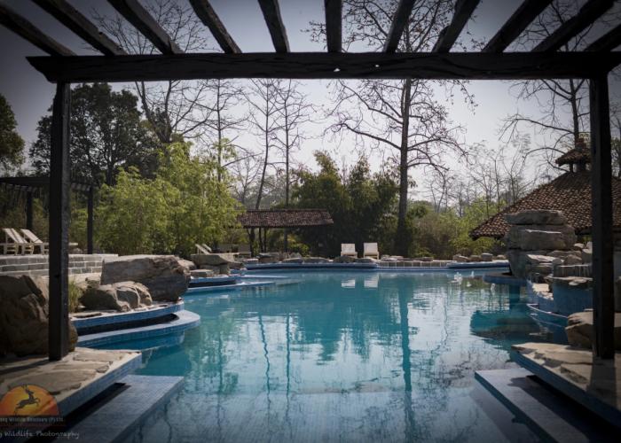 Sarang Wildlife Sanctuary Hotel