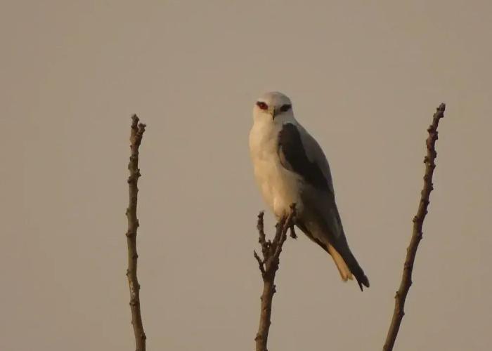 Kasara Resort - Chitwan National Park