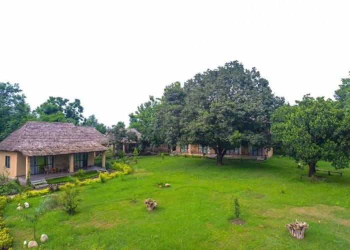 Into The Wild Eco Resort