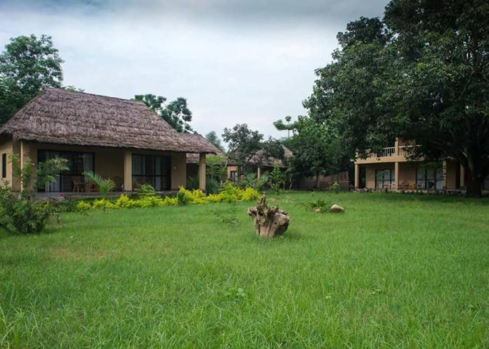 Into The Wild Eco Resort