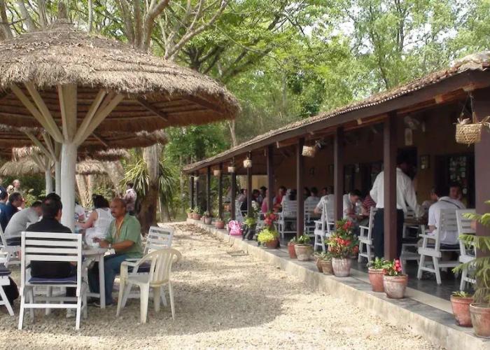 Safari Narayani Hotel- All Inclusive