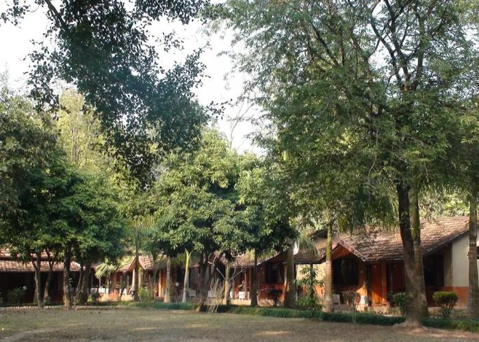Safari Narayani Hotel- All Inclusive