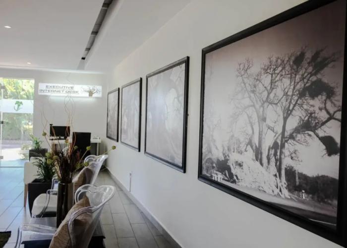 Musina Hotel