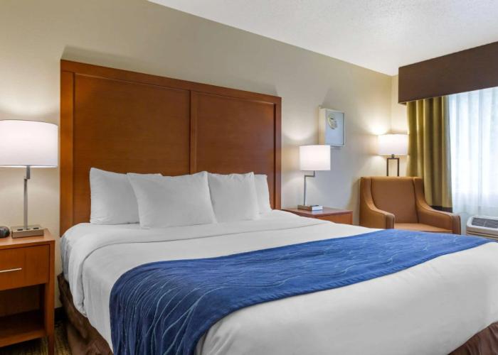 Comfort Inn South