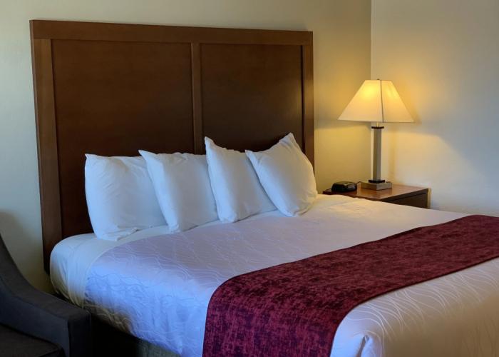 Red Carpet Inn Medford