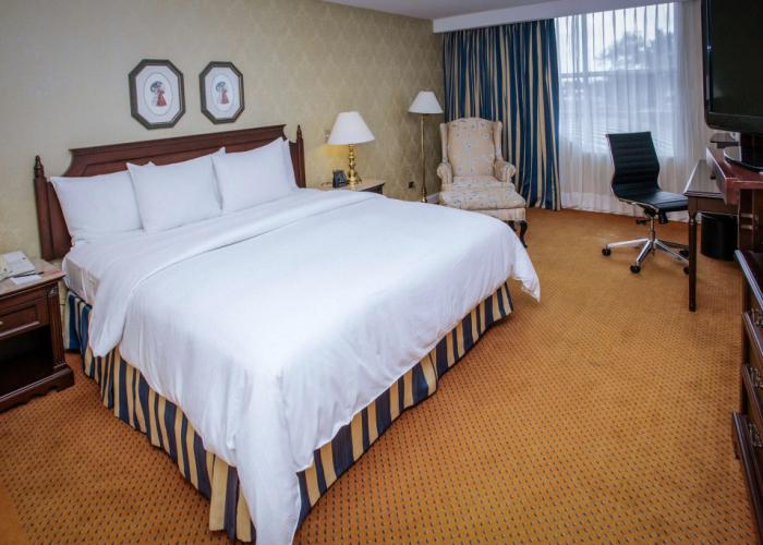 Hilton Princess Managua