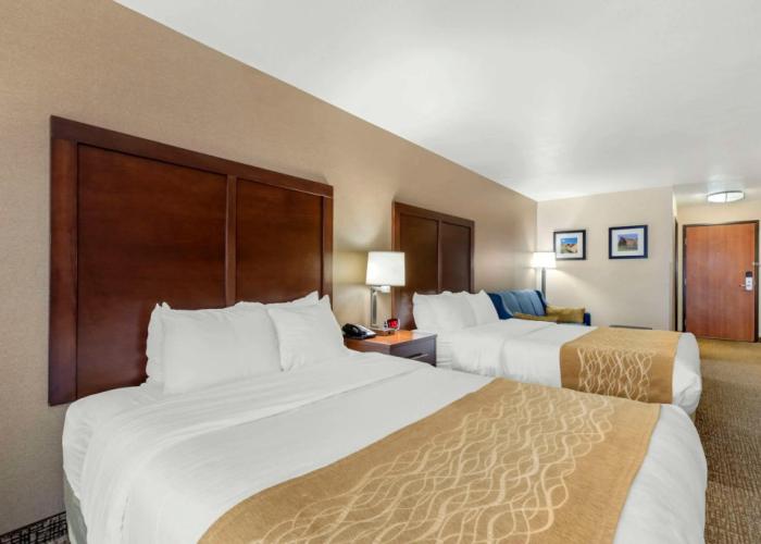 Comfort Inn & Suites Mitchell I-90