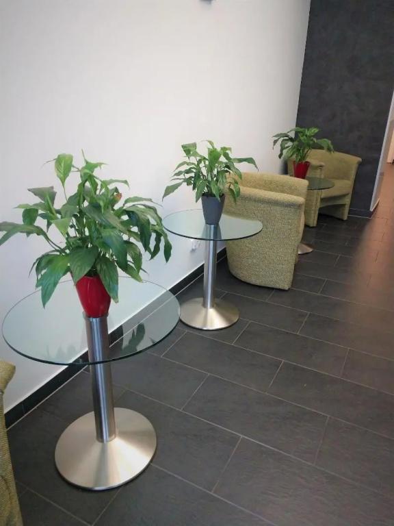 фото eXo Boutique Hotel Mannheim