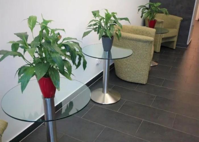 eXo Boutique Hotel Mannheim