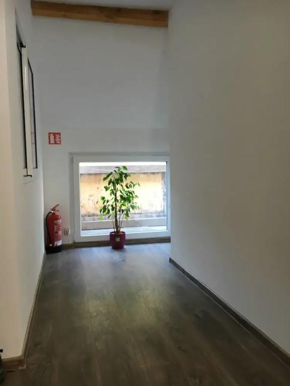 фото Haus Baron 2