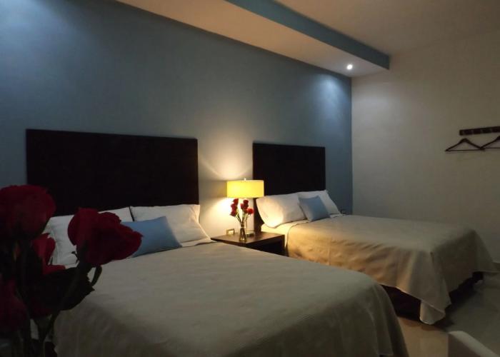 Hotel Casa Palomino