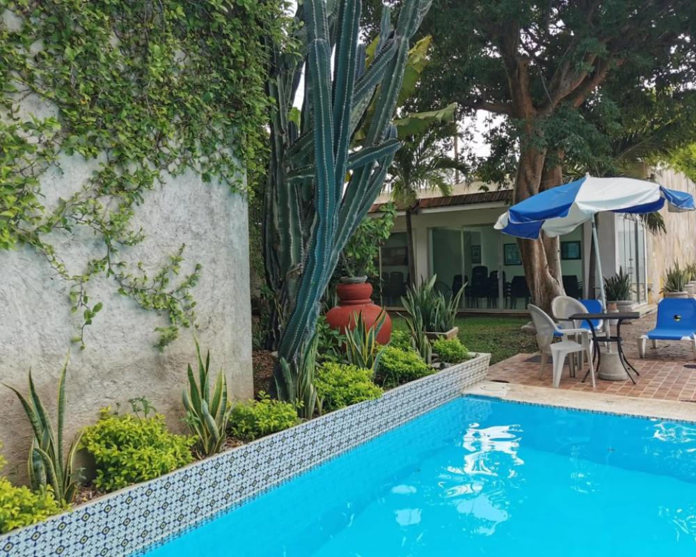 фото Las Dalias Inn