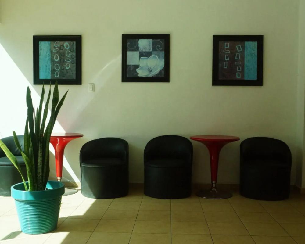 фото Las Dalias Inn