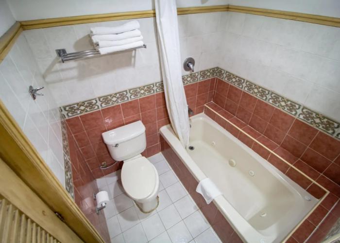 Hotel Suites Flamboyanes