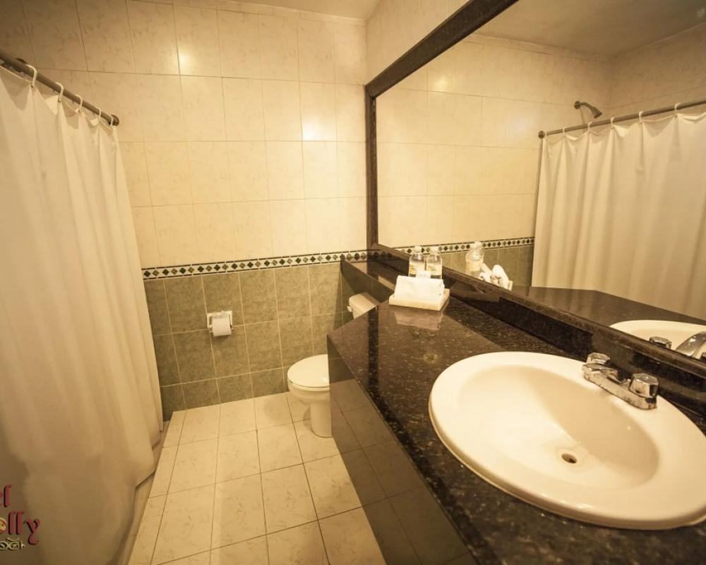фото Hotel Holly