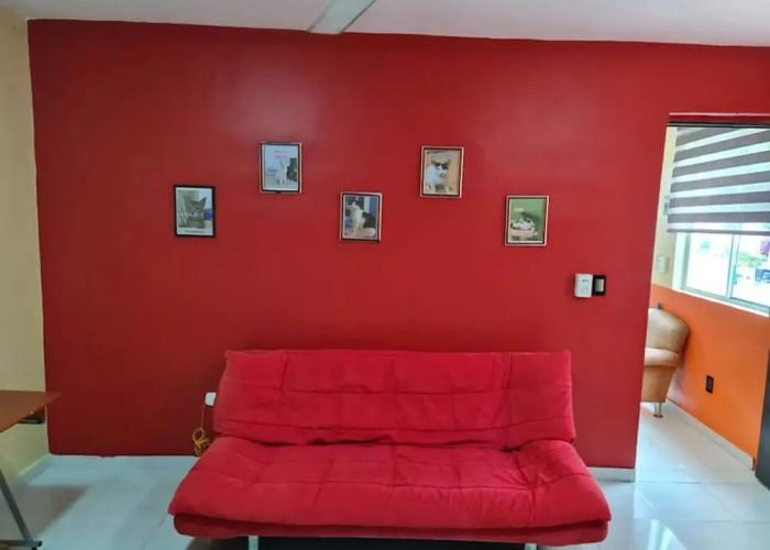 Excellent Apartment in Altaomico Floor and Equipped ac, Wifi, Tv