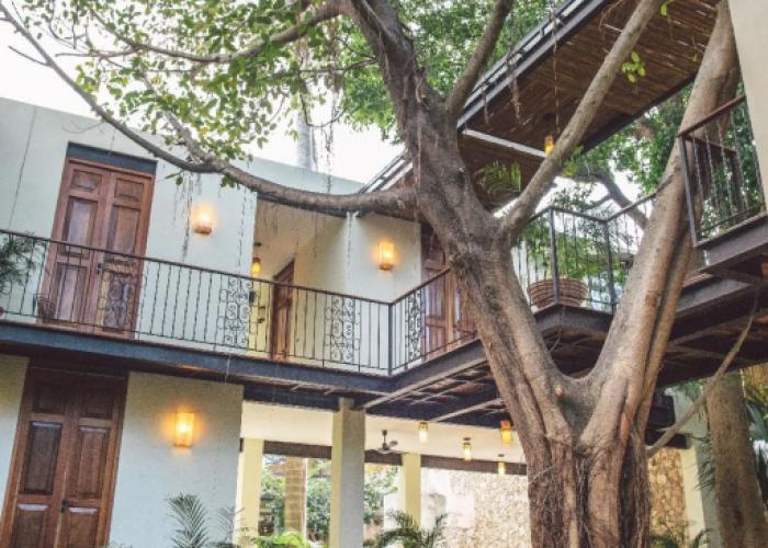 TreeHouse Boutique Hotel - Adults Only
