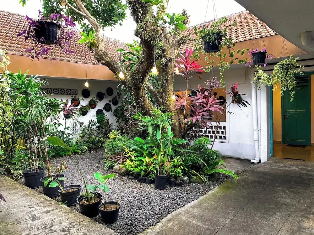 фото Snooze Hostel Malang