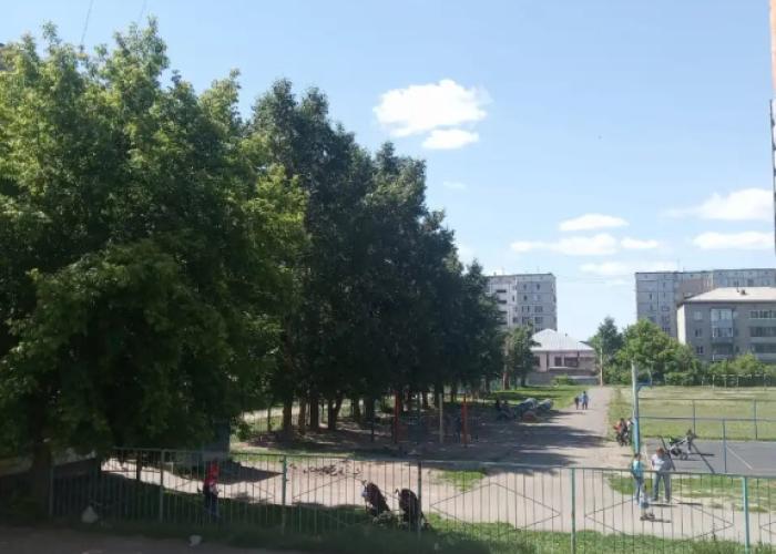 Podsolnuh Hostel