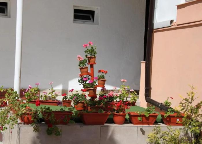 Pensiunea Casa Rusu