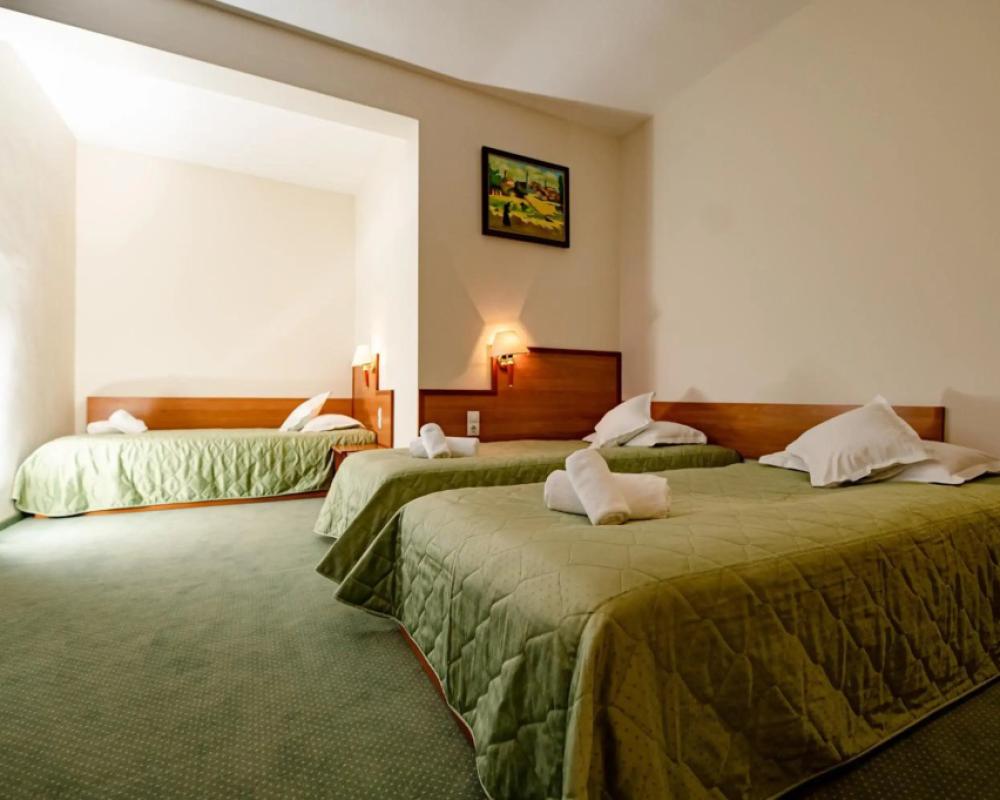 фото Hotel Rivulus