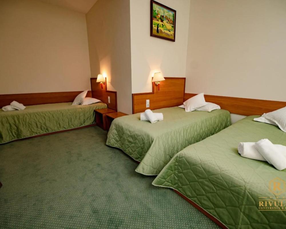 фото Hotel Rivulus