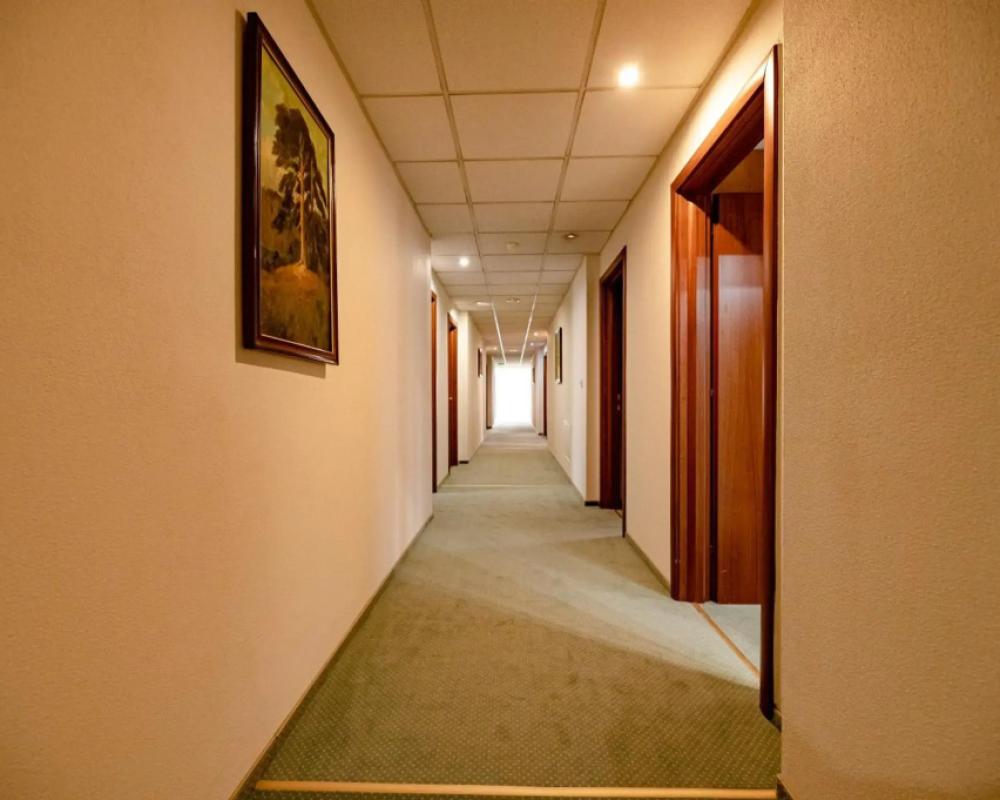 фото Hotel Rivulus