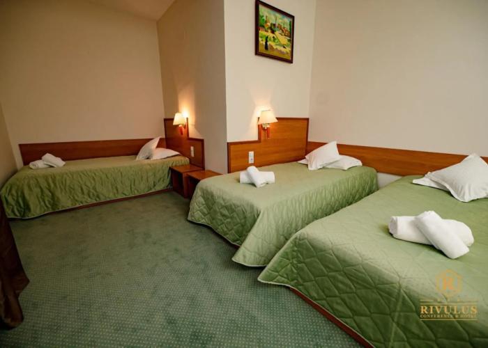 Hotel Rivulus