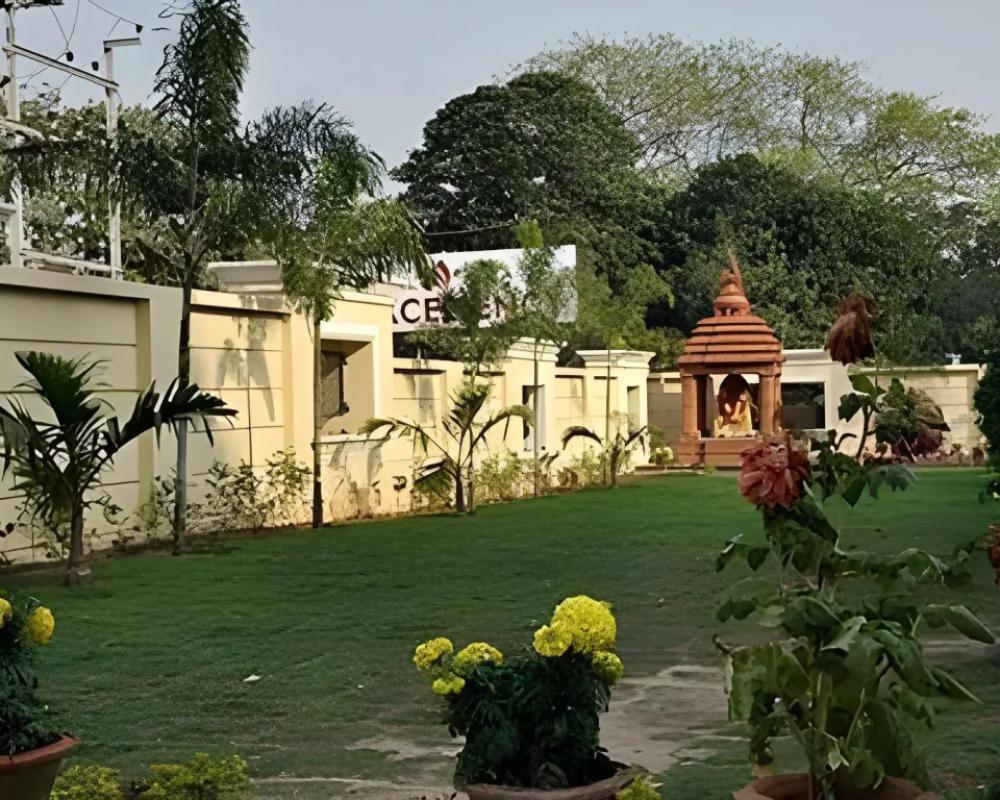 фото Hotel Excellency