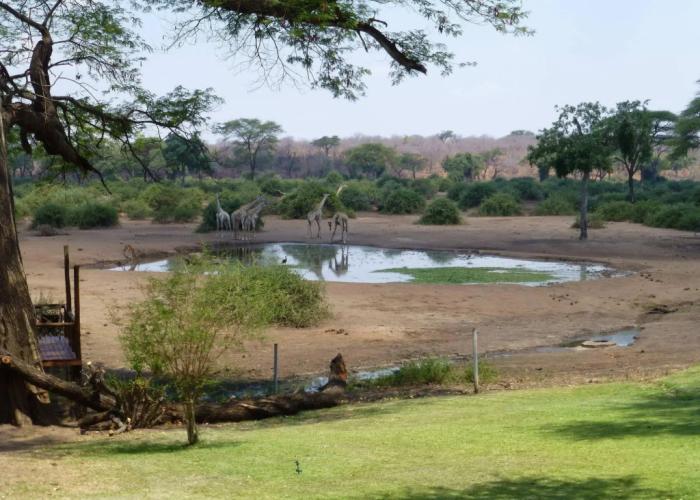 Elephant Valley Lodge
