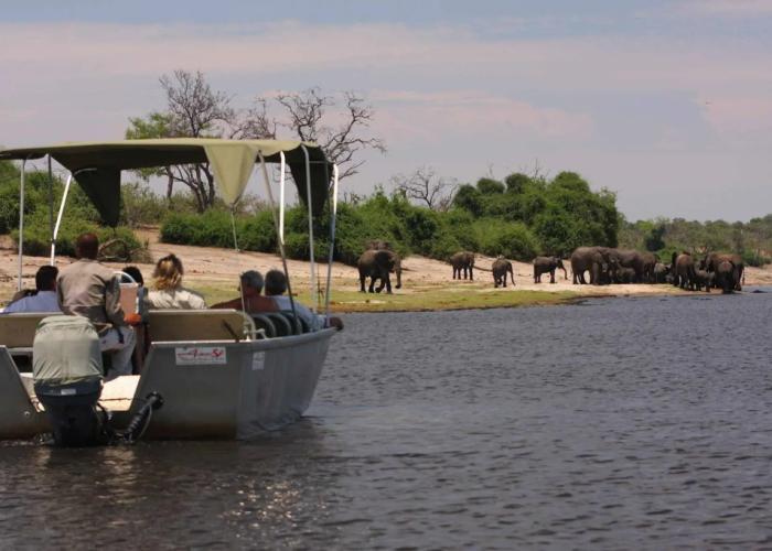 Elephant Valley Lodge