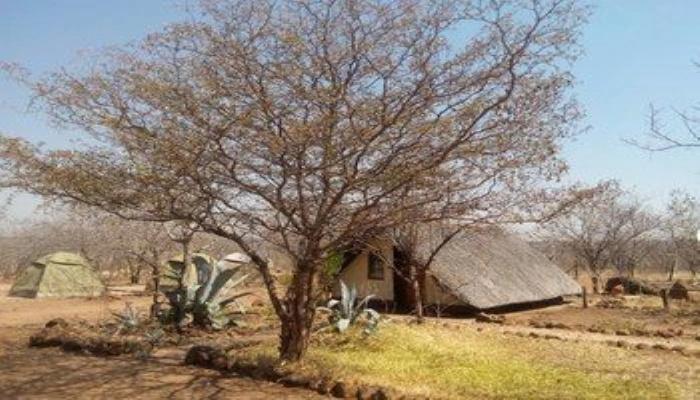 Liya Guest Lodge