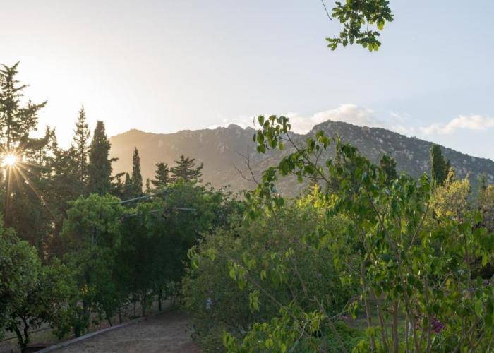 S'Arenada Hotel - Adults Only