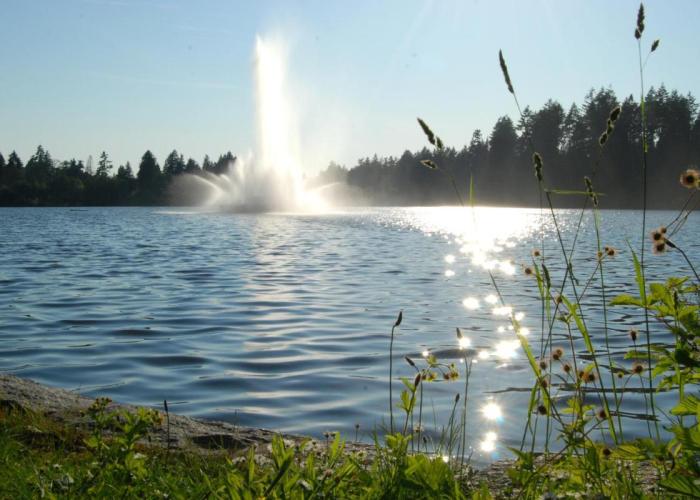 Rosellen Suites at Stanley Park